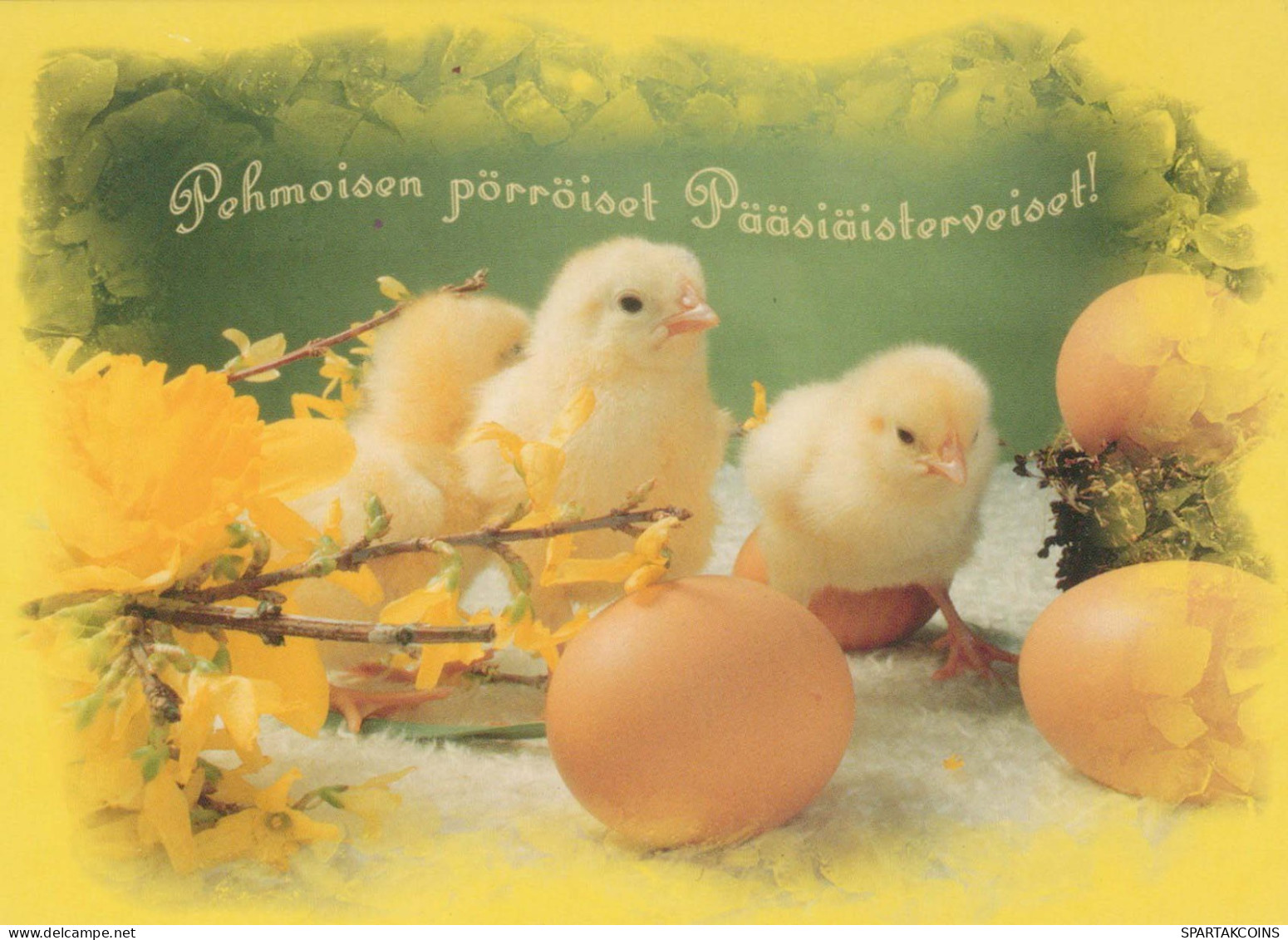 PASQUA POLLO UOVO Vintage Cartolina CPSM #PBP222.IT - Easter