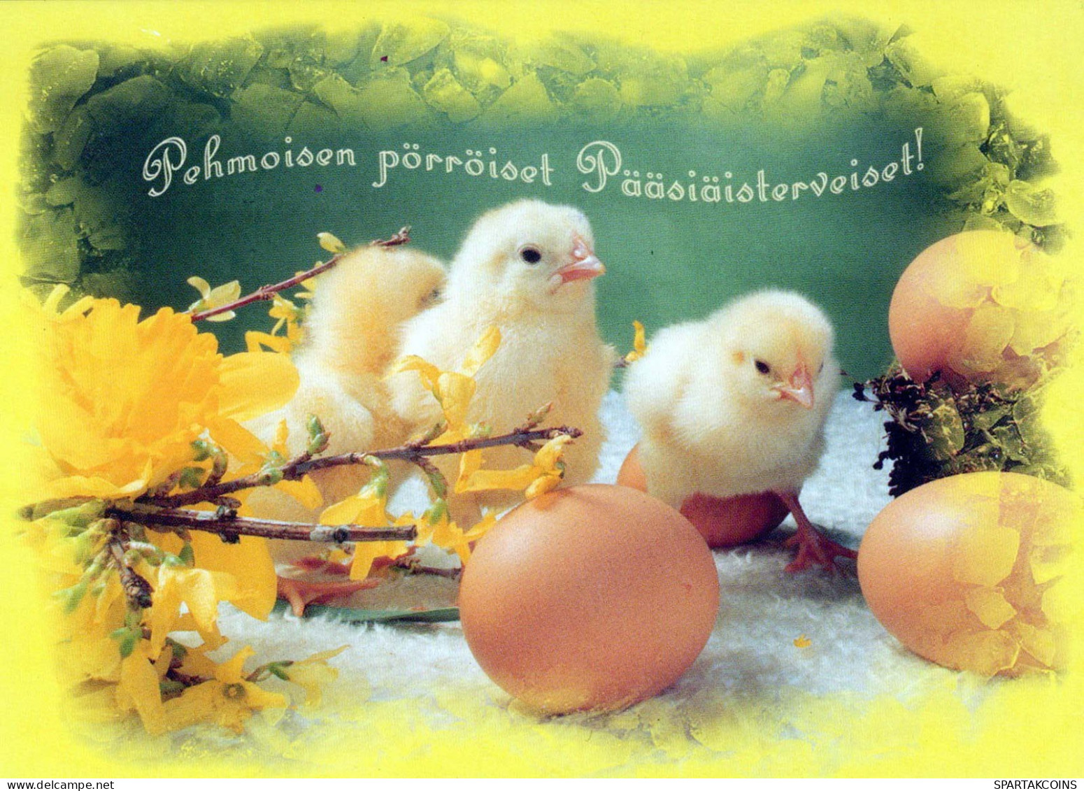 PASQUA POLLO UOVO Vintage Cartolina CPSM #PBP222.IT - Easter