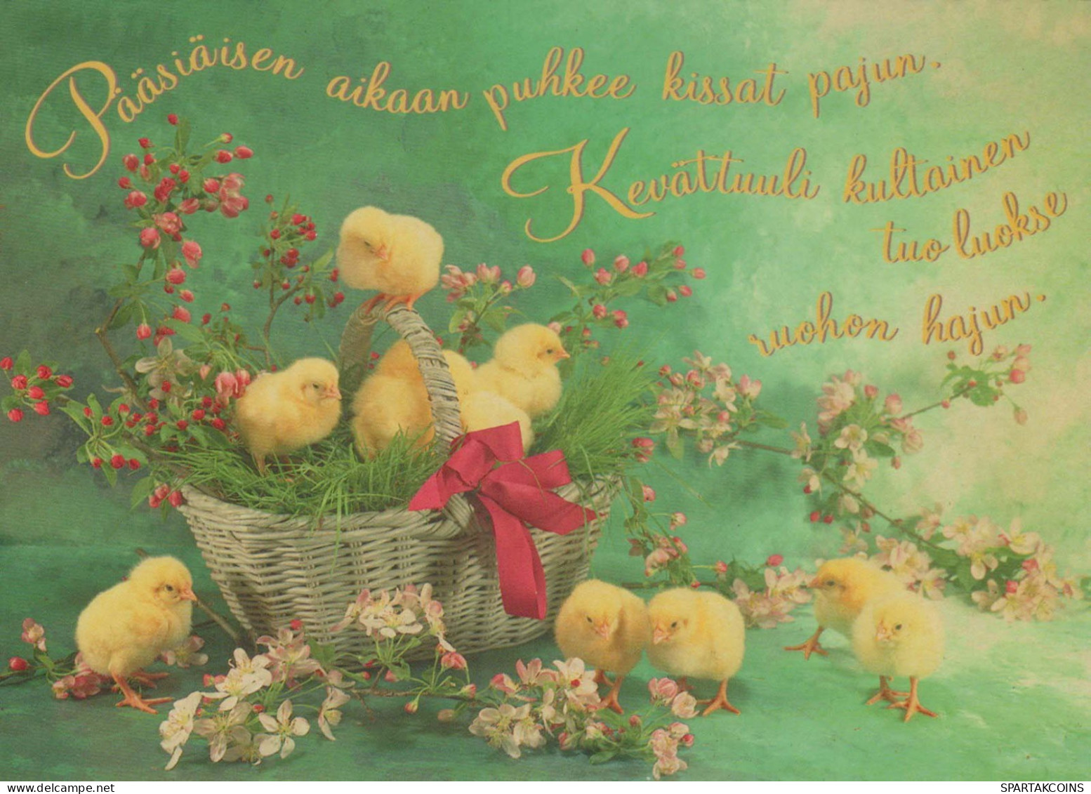 PASQUA POLLO Vintage Cartolina CPSM #PBO971.IT - Easter