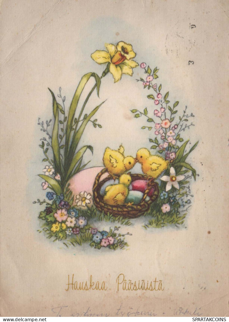 PASQUA POLLO UOVO Vintage Cartolina CPSM #PBO597.IT - Easter