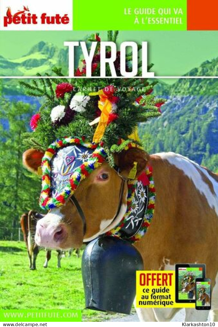 Guide Tyrol 2020 Carnet Petit Futé - Sonstige & Ohne Zuordnung