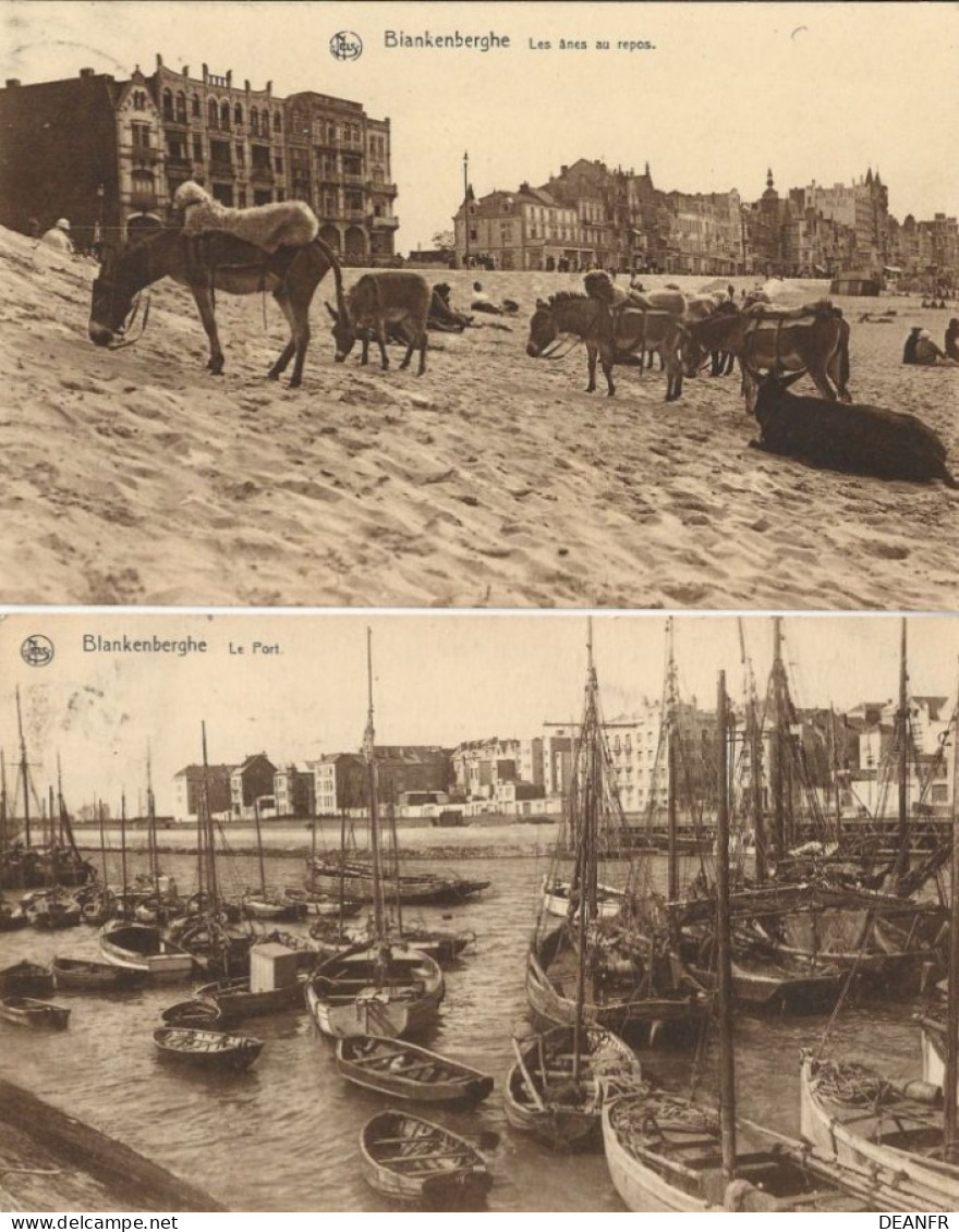 BLANKENBERGHE :  Les ânes Au Repos + Le Port ( 2 Cartes ). - Blankenberge