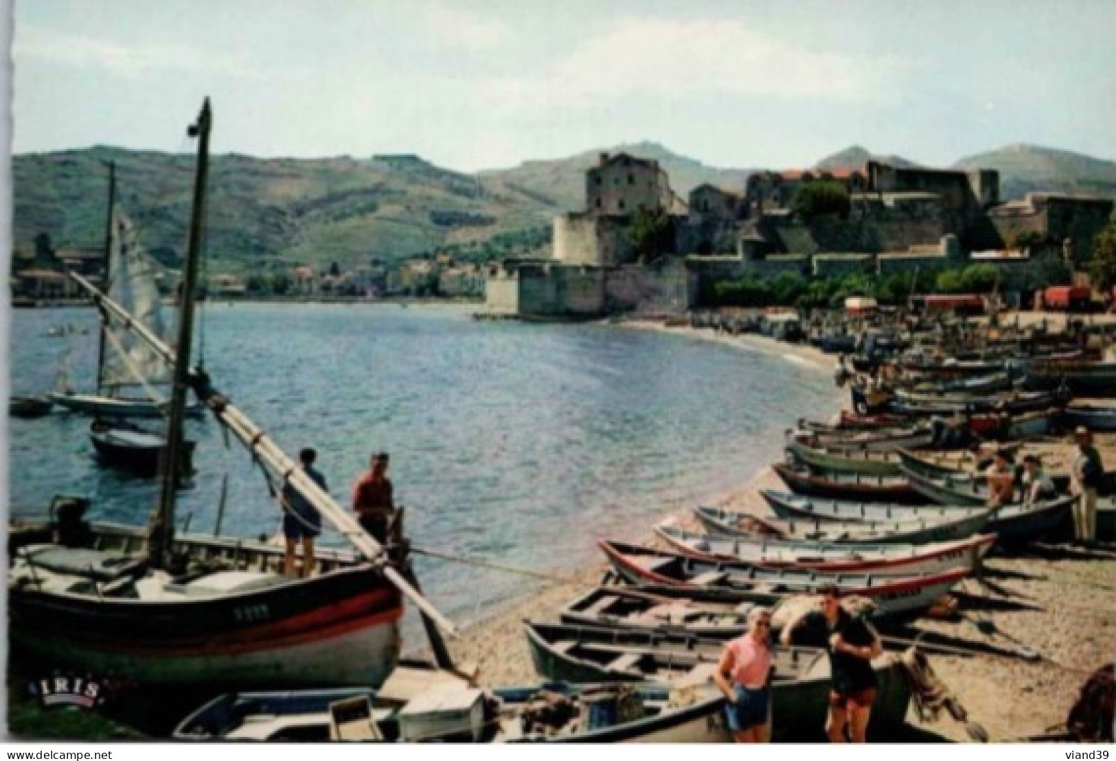 COLLIOURE. - Barques De Pêche Au Pied Du Château Des Templiers.    -  Non Circulée - Collioure