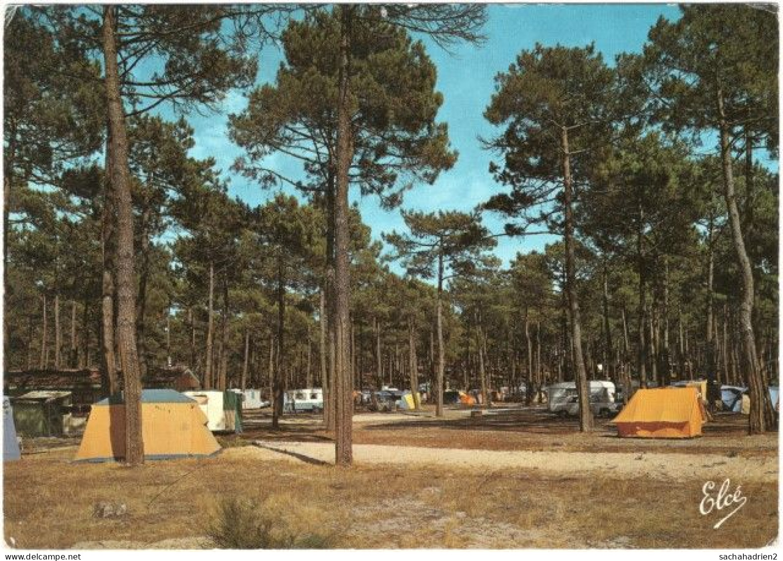 40. Gf. BISCARROSSE. Le Camping De La Plage. 435 - Biscarrosse