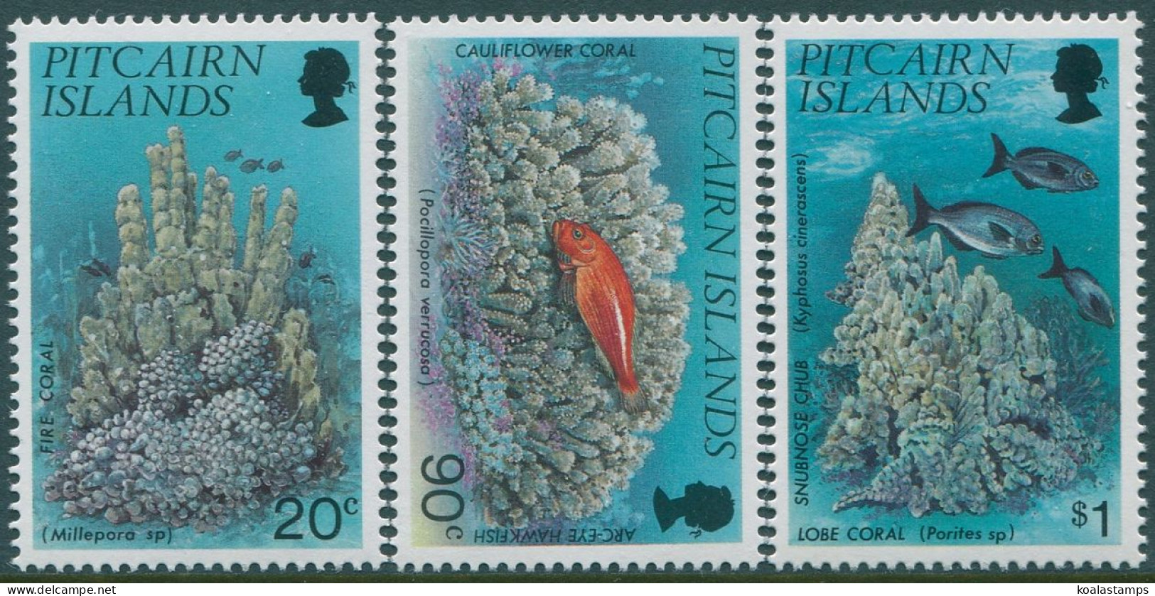 Pitcairn Islands 1994 SG454-456 Corals Set MNH - Pitcairninsel