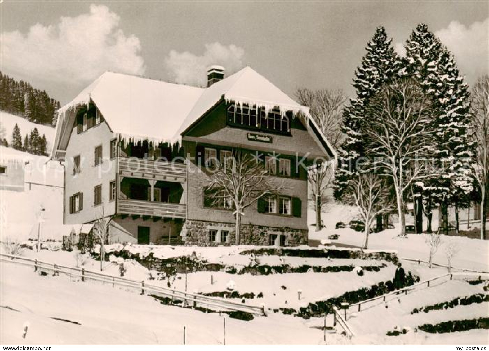 73854565 Todtnauberg Haus Sonnhalde Todtnauberg - Todtnau