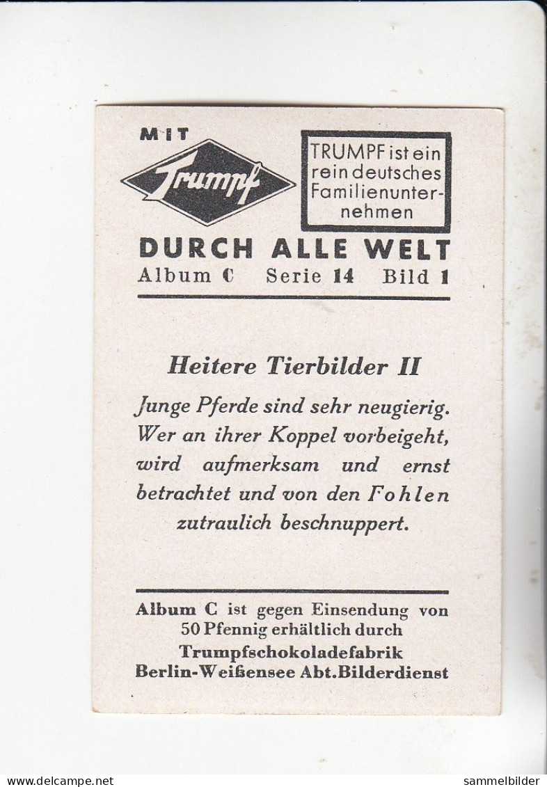 Mit Trumpf Durch Alle Welt Heitere Tierbilder II Fohlen    C Serie 14 # 1 Von 1934 - Autres Marques