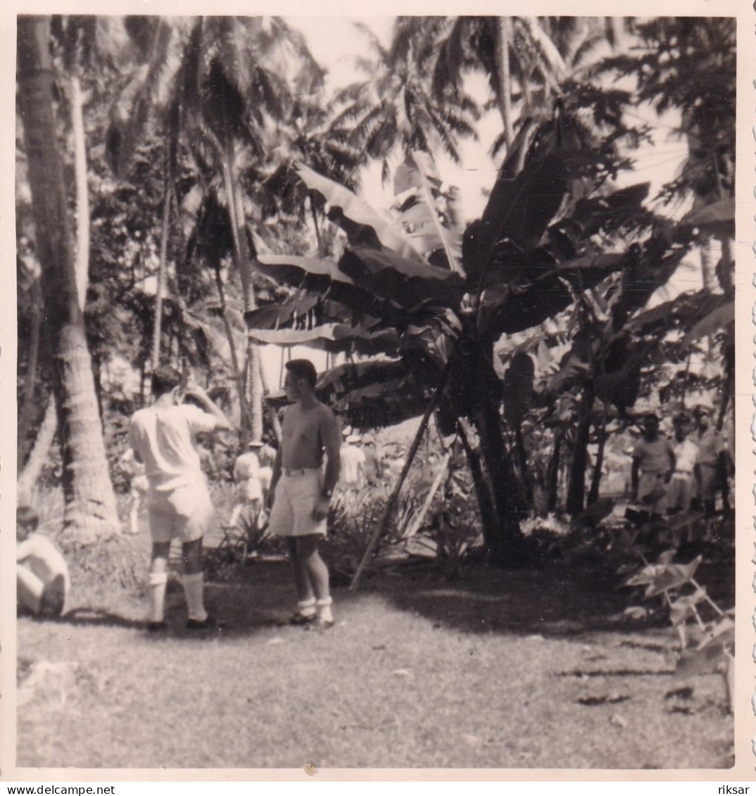 TAHITI(PHOTO) L ESCADRE DU BATEAU DE GUERRE JEANNE D ARC(ARBRE) - Oceanía