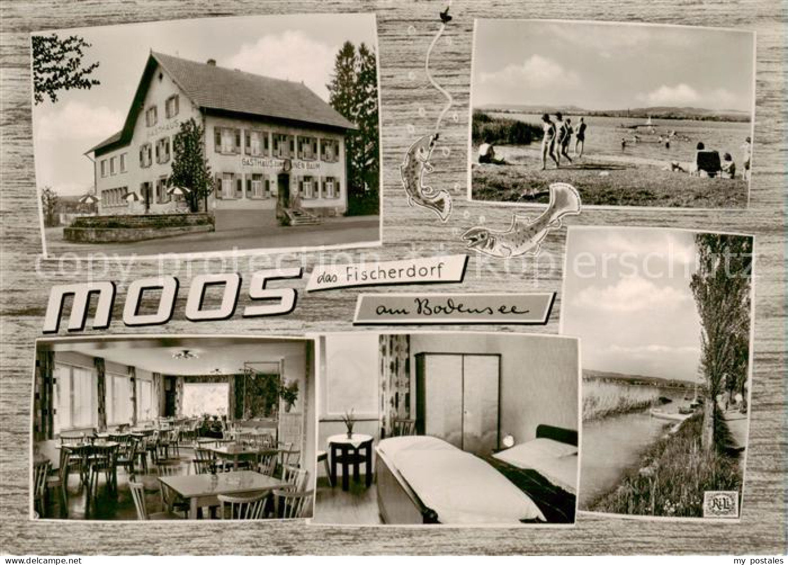 73854521 Moos  Bodensee Gasthaus Zum Gruenen Baum Strand Gaststube Zimmer  - Altri & Non Classificati