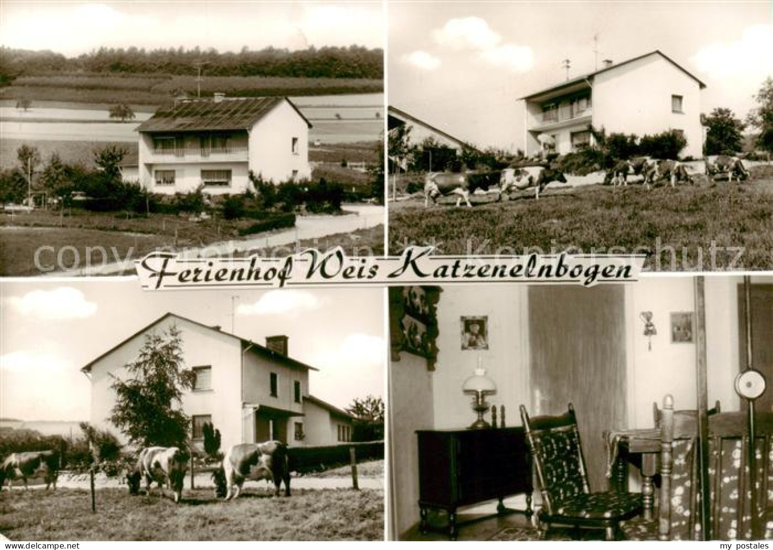 73854515 Katzenelnbogen Ferienhof Weis Gaststube Weiderinder Katzenelnbogen - Altri & Non Classificati