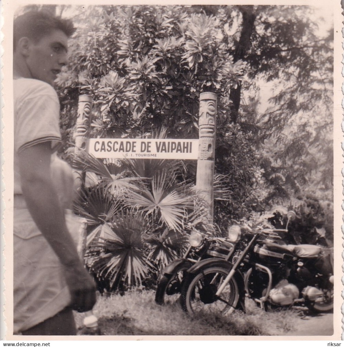 TAHITI(PHOTO) L ESCADRE DU BATEAU DE GUERRE JEANNE D ARC(ARBRE) MOTOCYCLETTE - Cars