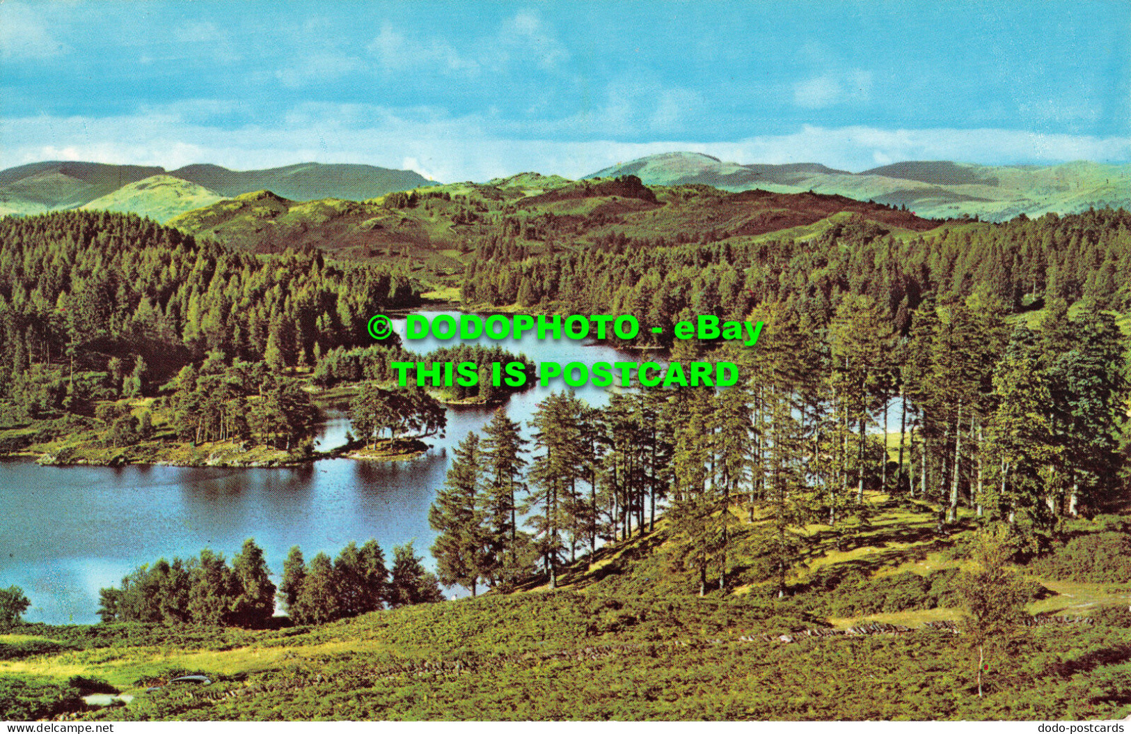 R519094 Tarn Hows. Postcard - Mondo