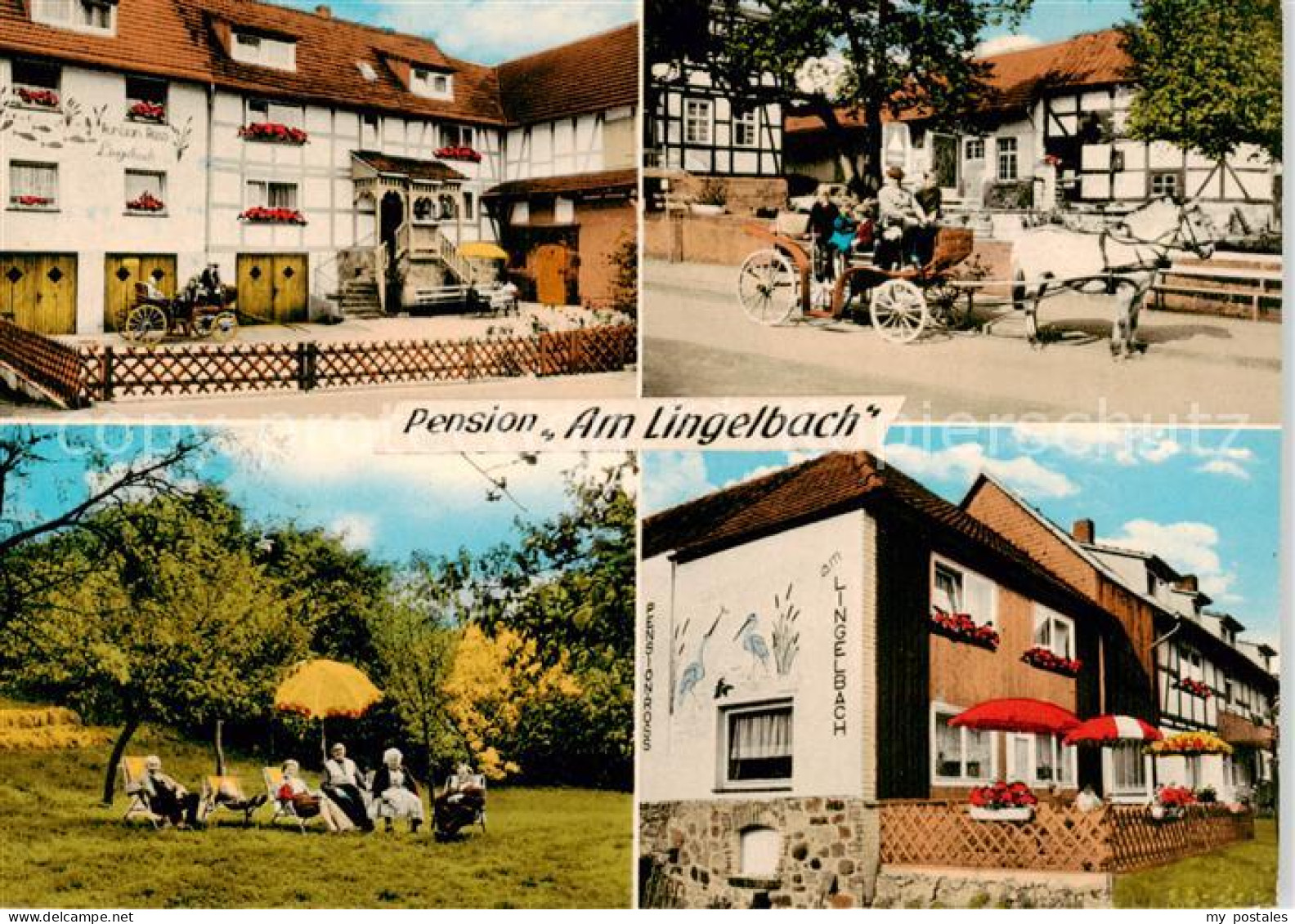 73854256 Rengshausen Knuellwald Pension Am Lingelbach Pferdekutsche Garten Rengs - Autres & Non Classés