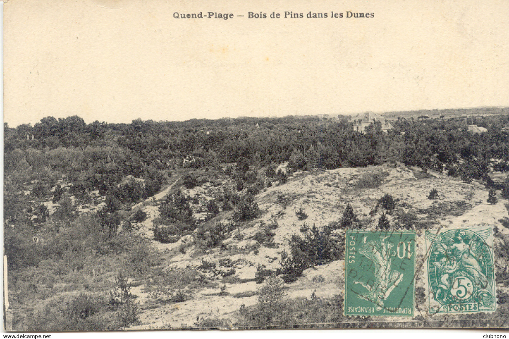 CPA - QUEND-PLAGE - BOIS DE PINS DANS LES DUNES - Quend