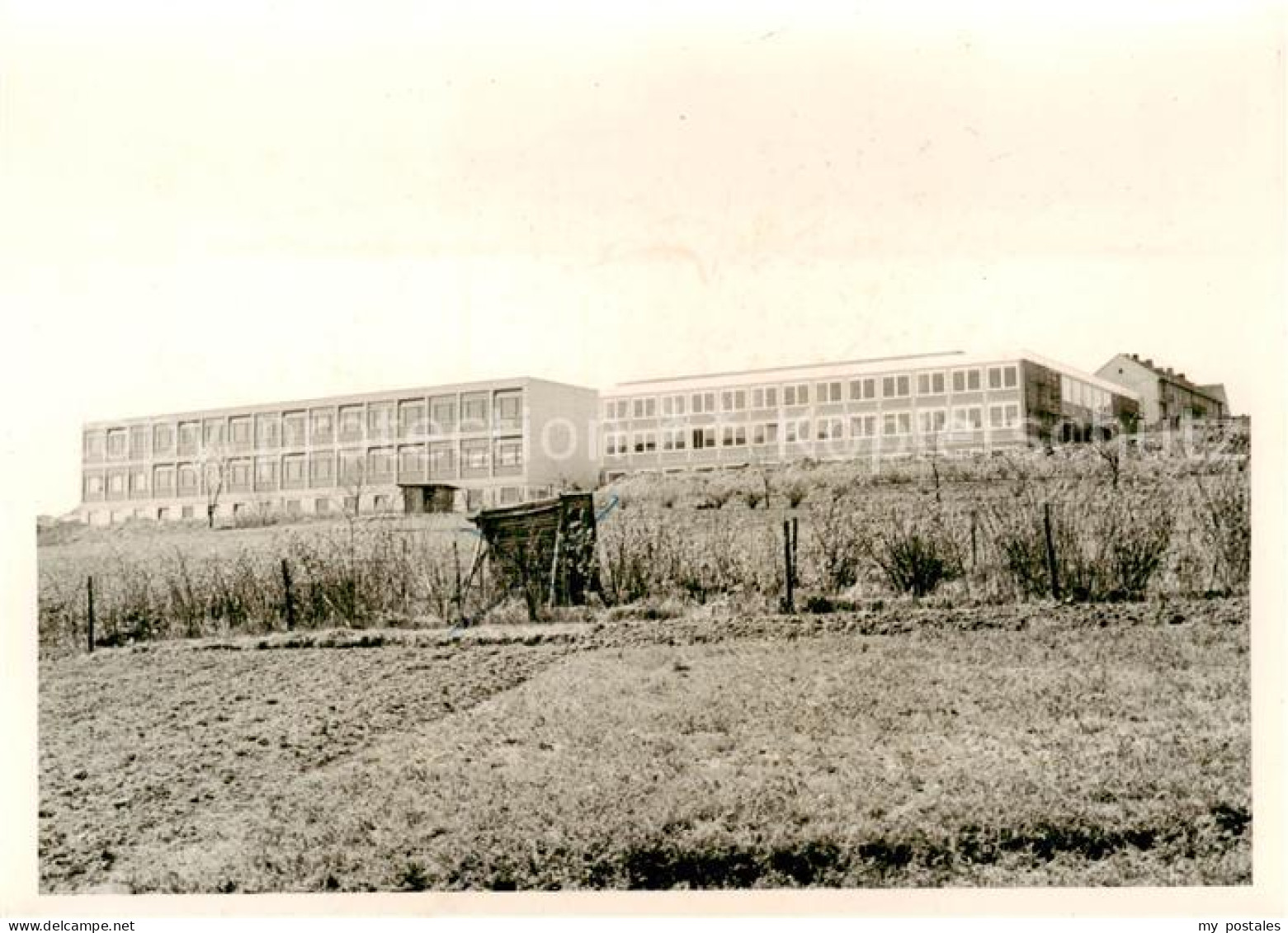 73854128 Hoehr-Grenzhausen Schule Hoehr-Grenzhausen - Höhr-Grenzhausen