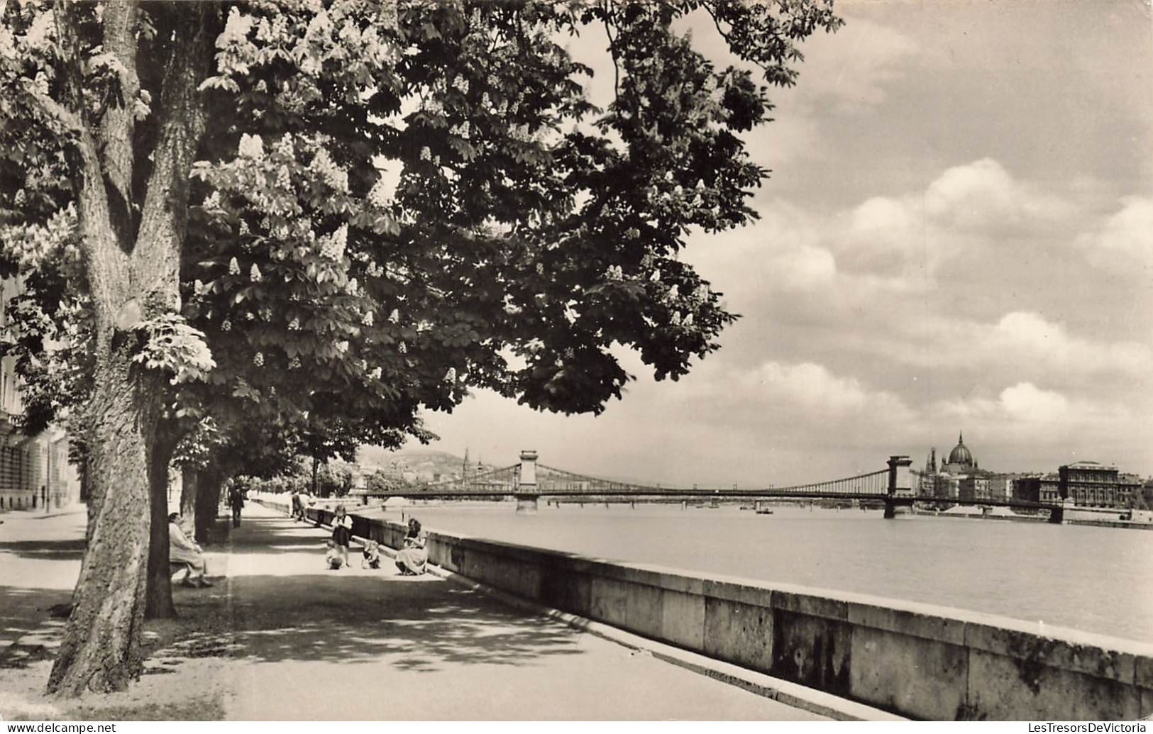 HONGRIE - Budapest - Vue Générale - Carte Postale Ancienne - Hungary