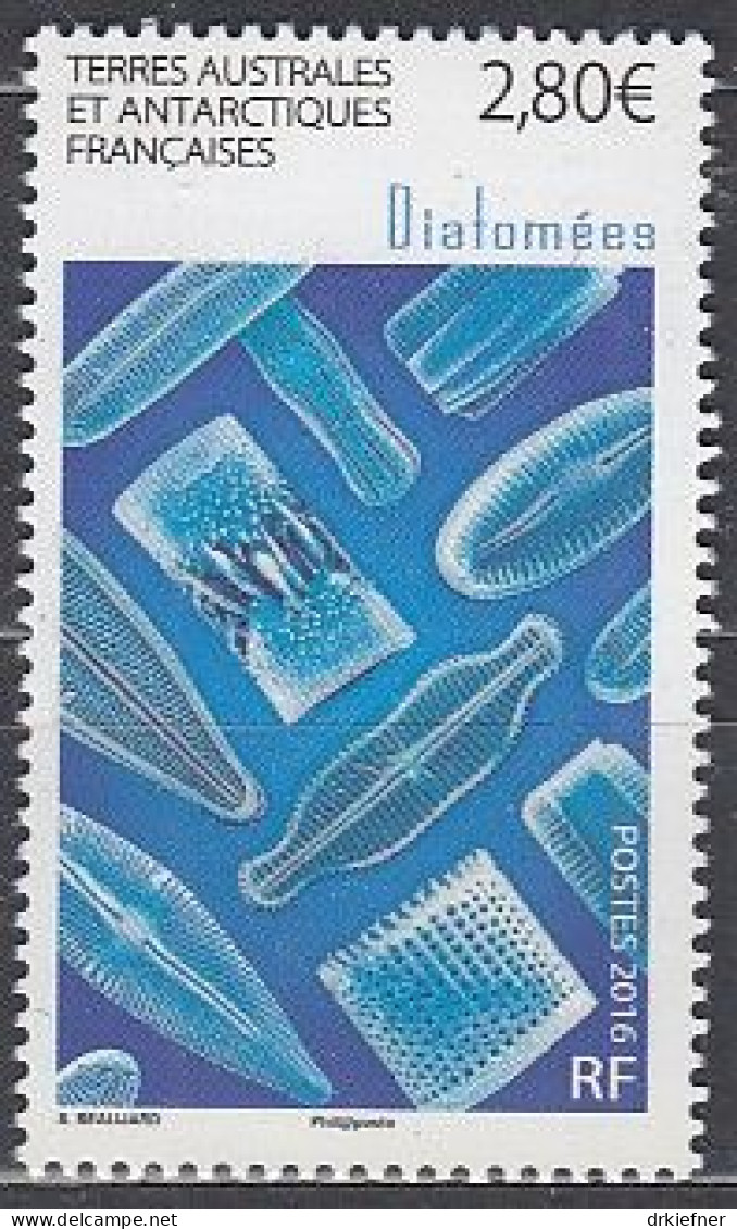 FRANZÖSISCHE GEBIETE IN DER ANTARKTIS  926, Postfrisch **, Kieselalgen, Diatomeen, 2016 - Unused Stamps