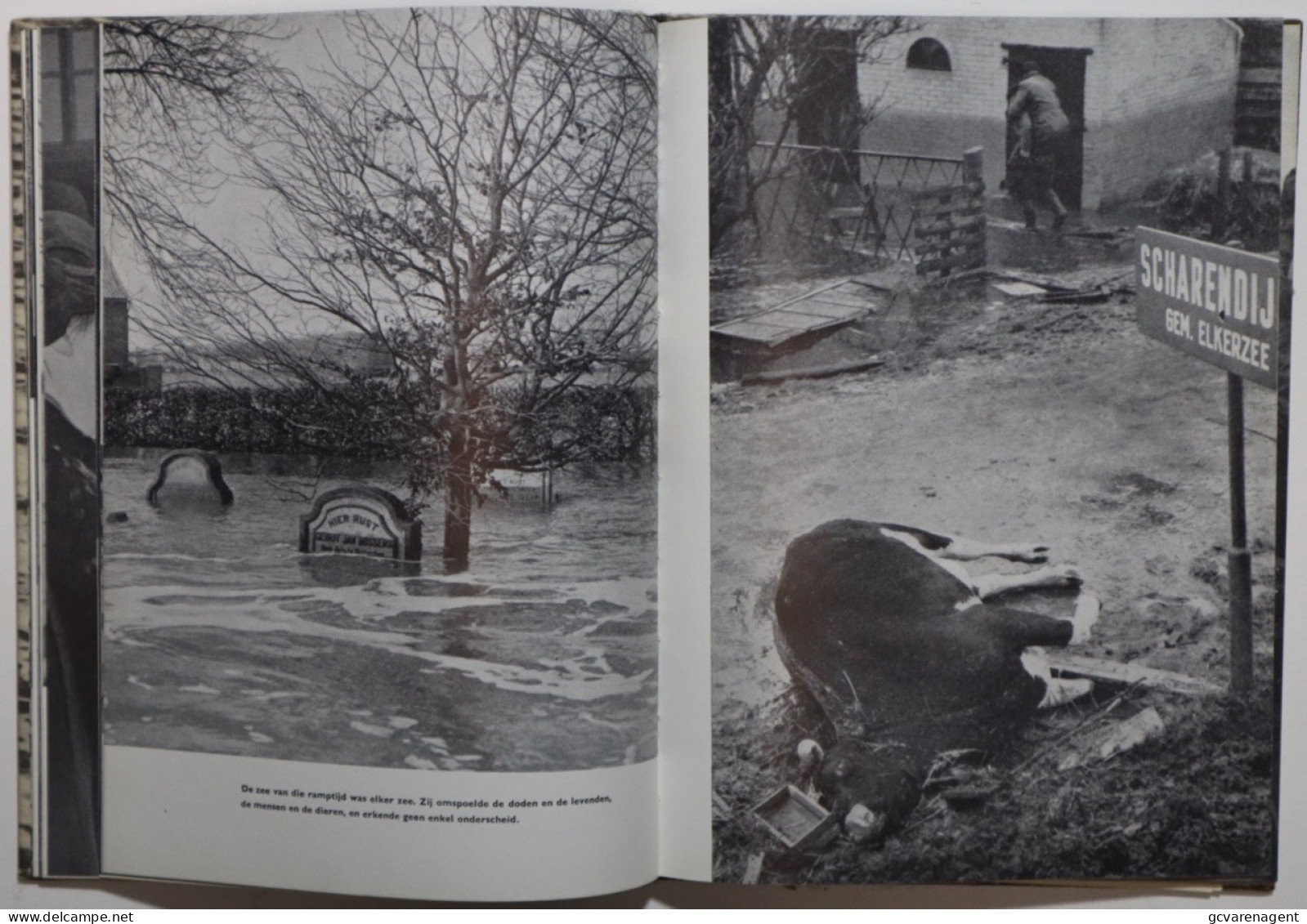 DE RAMP 1953 - NEDERLAND ONDER WATER - OVERZICHT VAN HET  GETROFFEN NEDERLANDS VOLK