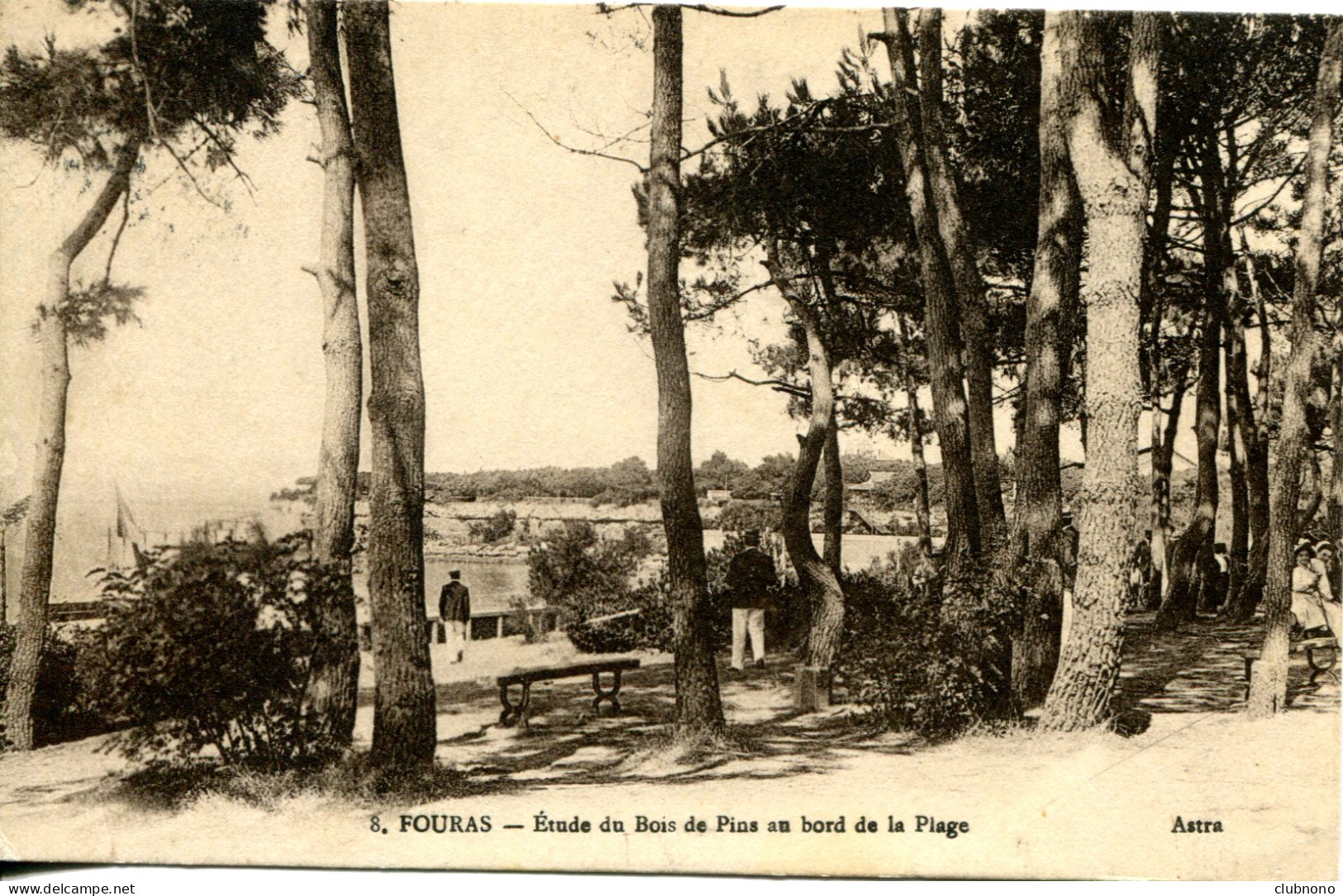 CPA - FOURAS - ETUDE DU BOIS DES PINS BORDS DE LA PLAGE - Fouras-les-Bains