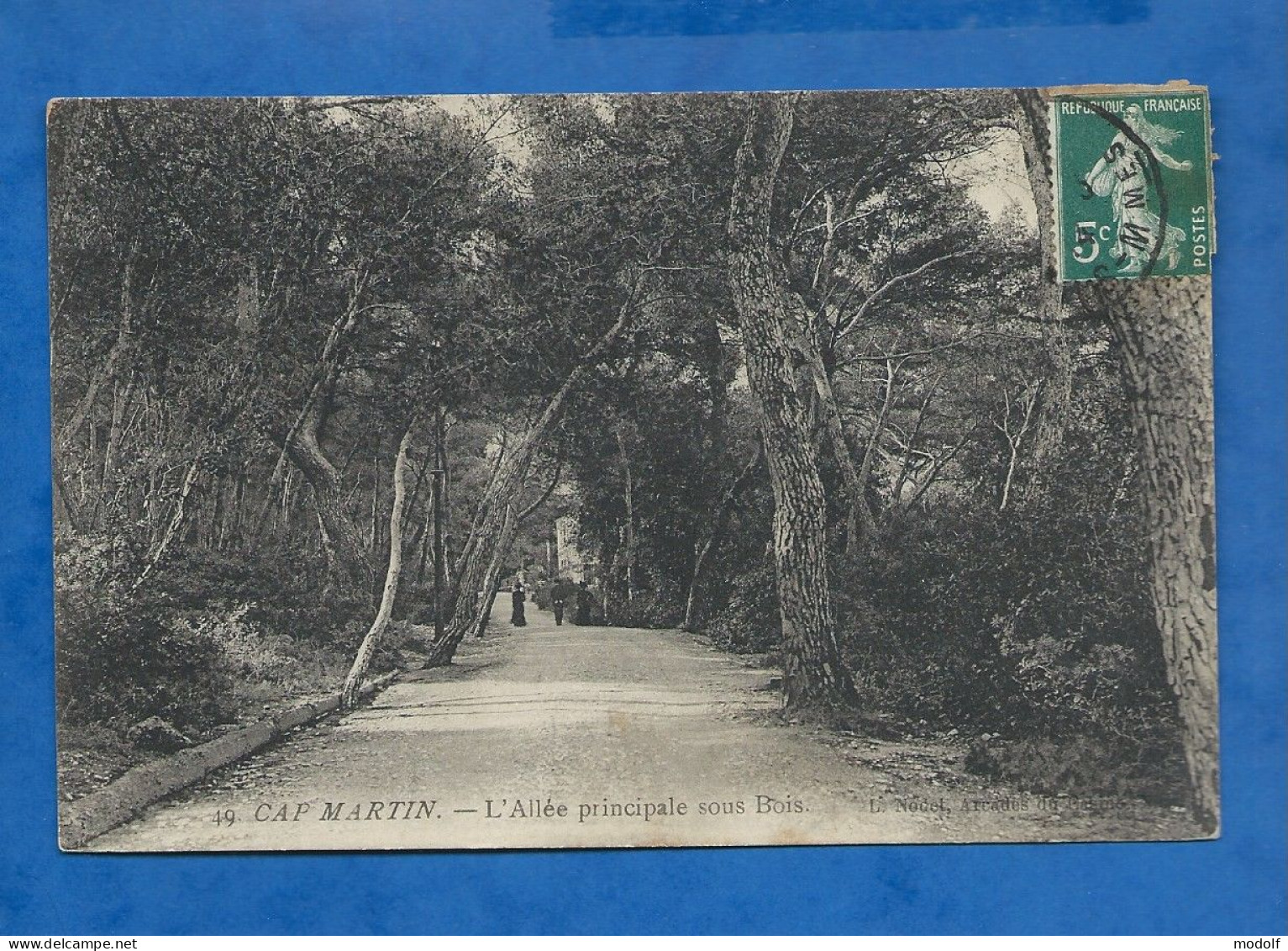 CPA - 06 - Cap Martin - L'Allée Principale Sous Bois - Circulée En 1914 - Roquebrune-Cap-Martin