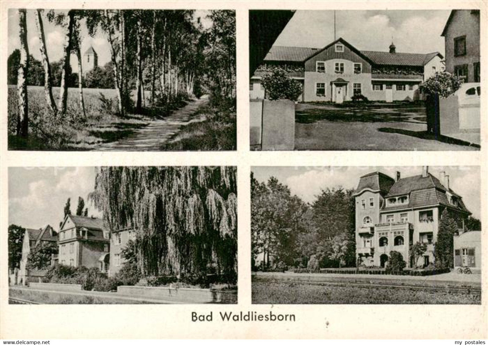 73853582 Bad Waldliesborn Allee Teilansichten Kurhaus Bad Waldliesborn - Lippstadt