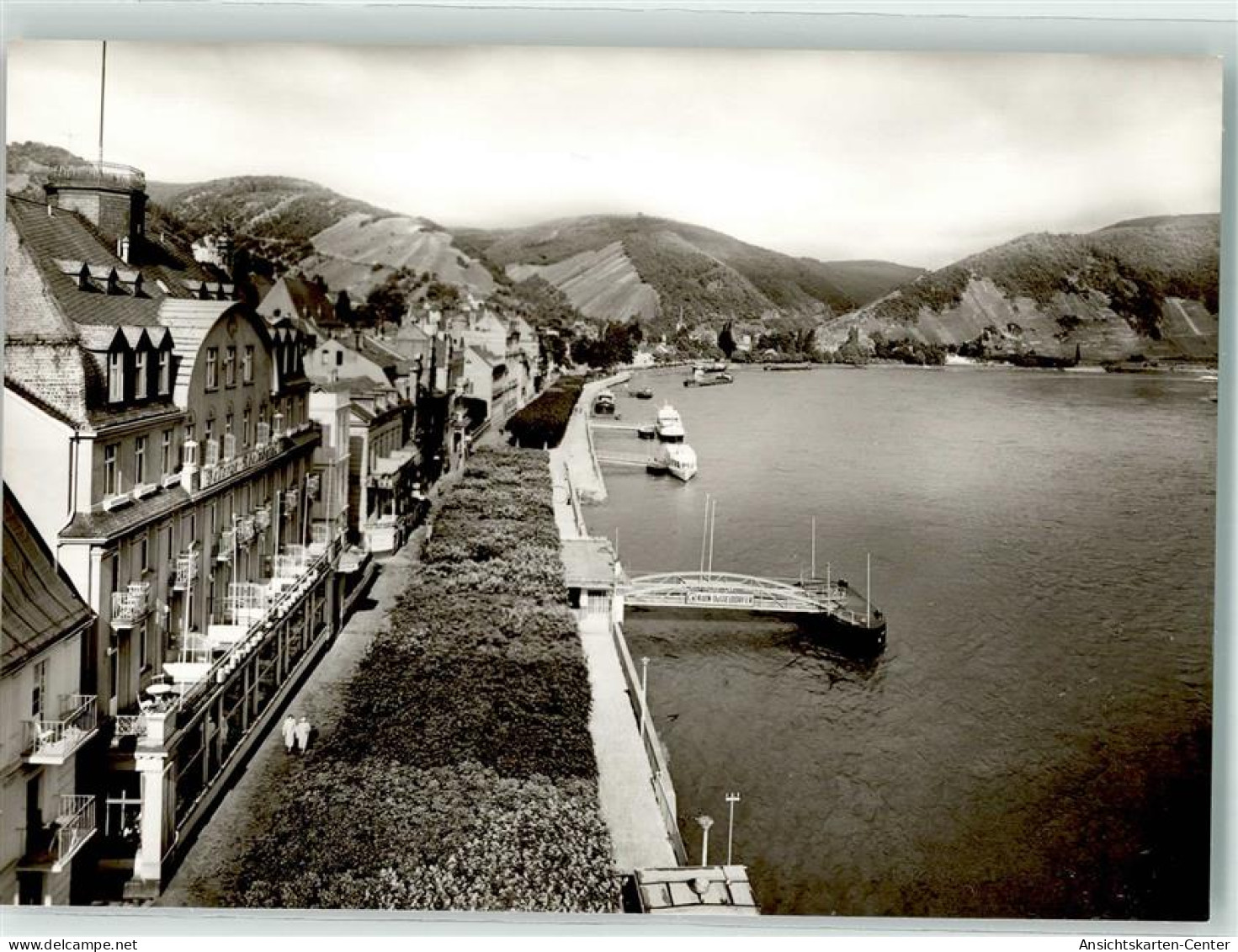 39554305 - Boppard , Rhein - Boppard