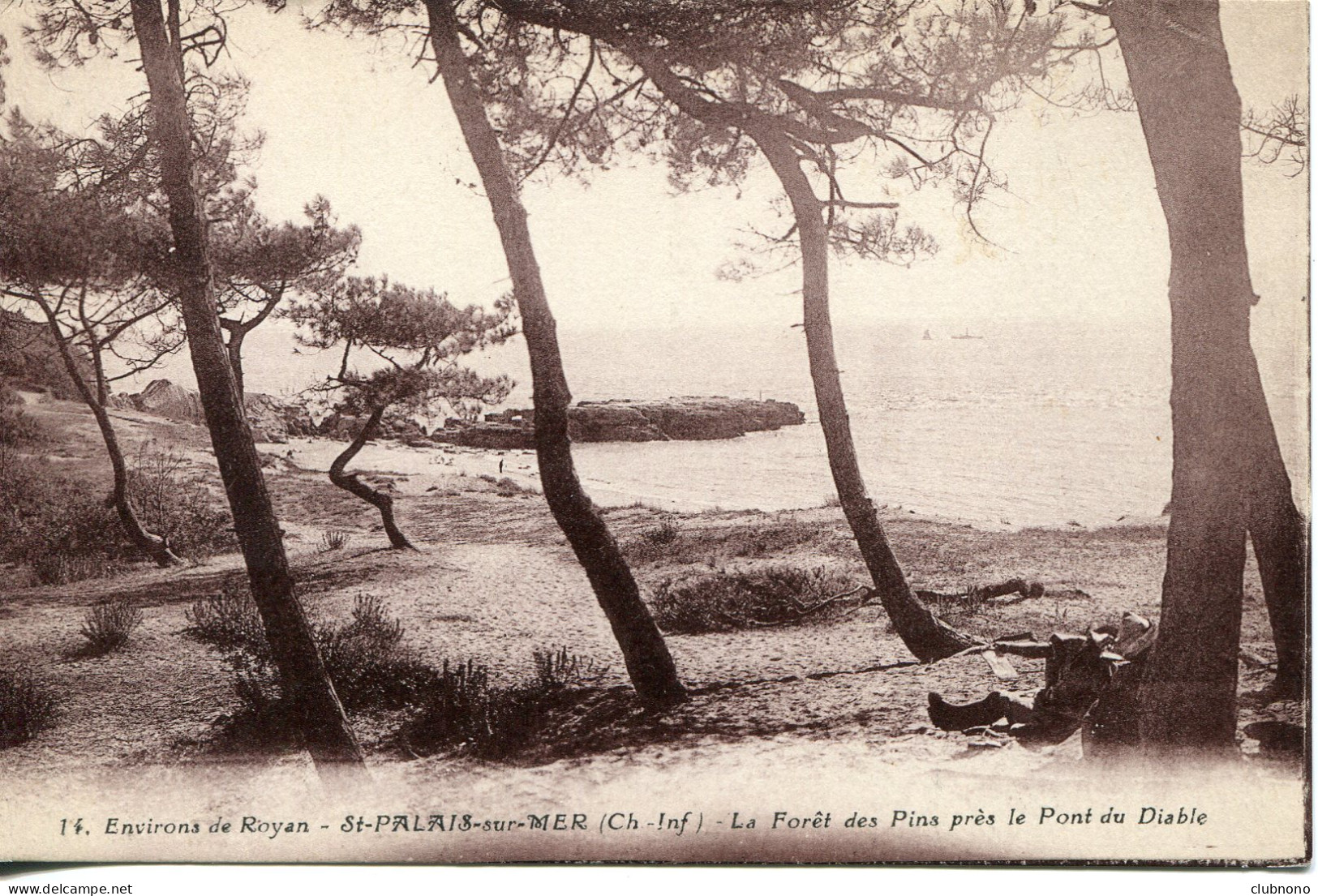 CPA - SAINT-PALAIS - LA FORET DES PINS PRES LE PONT DU DIABLE - Saint-Palais-sur-Mer