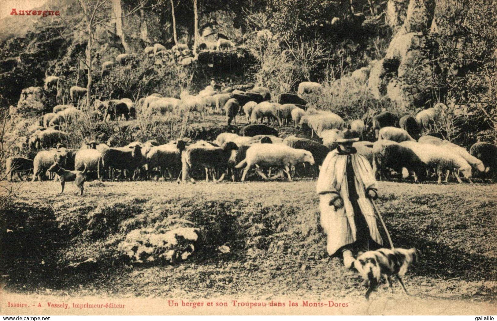 UN BERGER ET SON TROUPEAU DANS LES MONTS DORES - Le Mont Dore