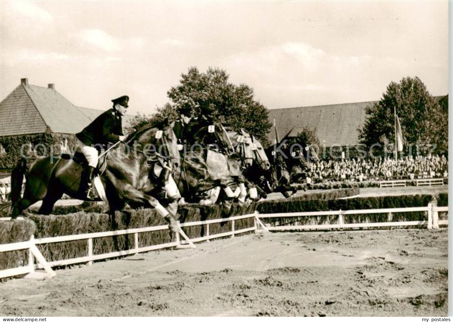 73853492 Warendorf Nordrhein-Westfaelisches Landgestuet Warendorfer Hengstparade - Warendorf