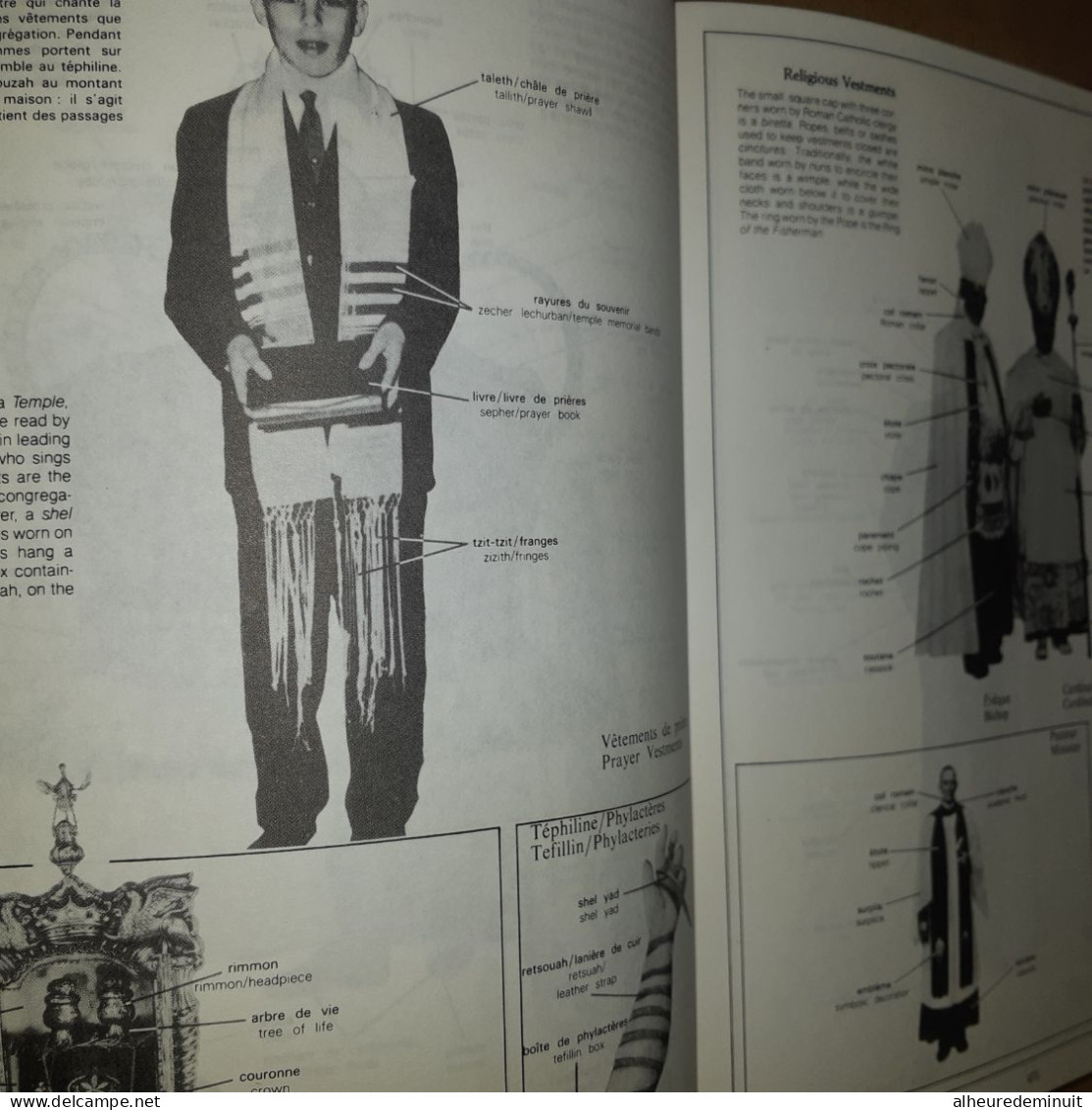 WHAT'S WHAT"Encyclopédie visuelle anglais-français"Ecole Etude Etudiant"apprentissage langue Étrangère