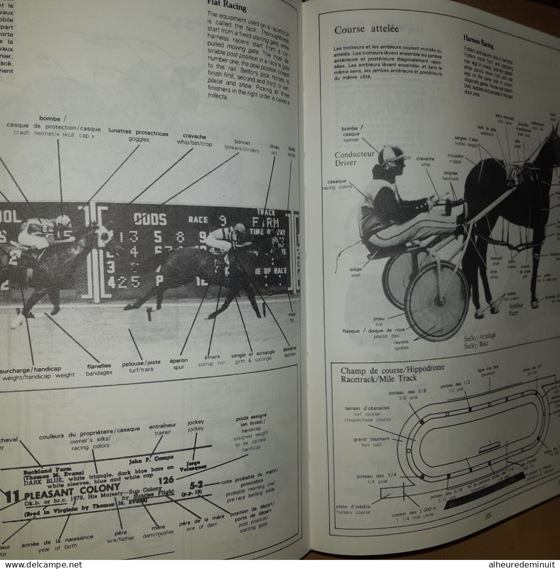 WHAT'S WHAT"Encyclopédie visuelle anglais-français"Ecole Etude Etudiant"apprentissage langue Étrangère