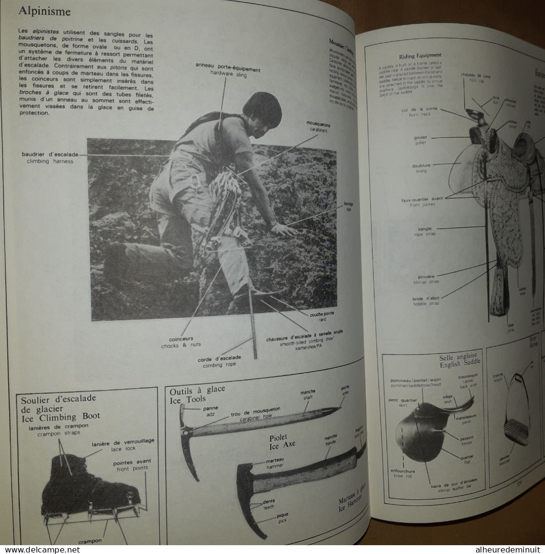 WHAT'S WHAT"Encyclopédie visuelle anglais-français"Ecole Etude Etudiant"apprentissage langue Étrangère