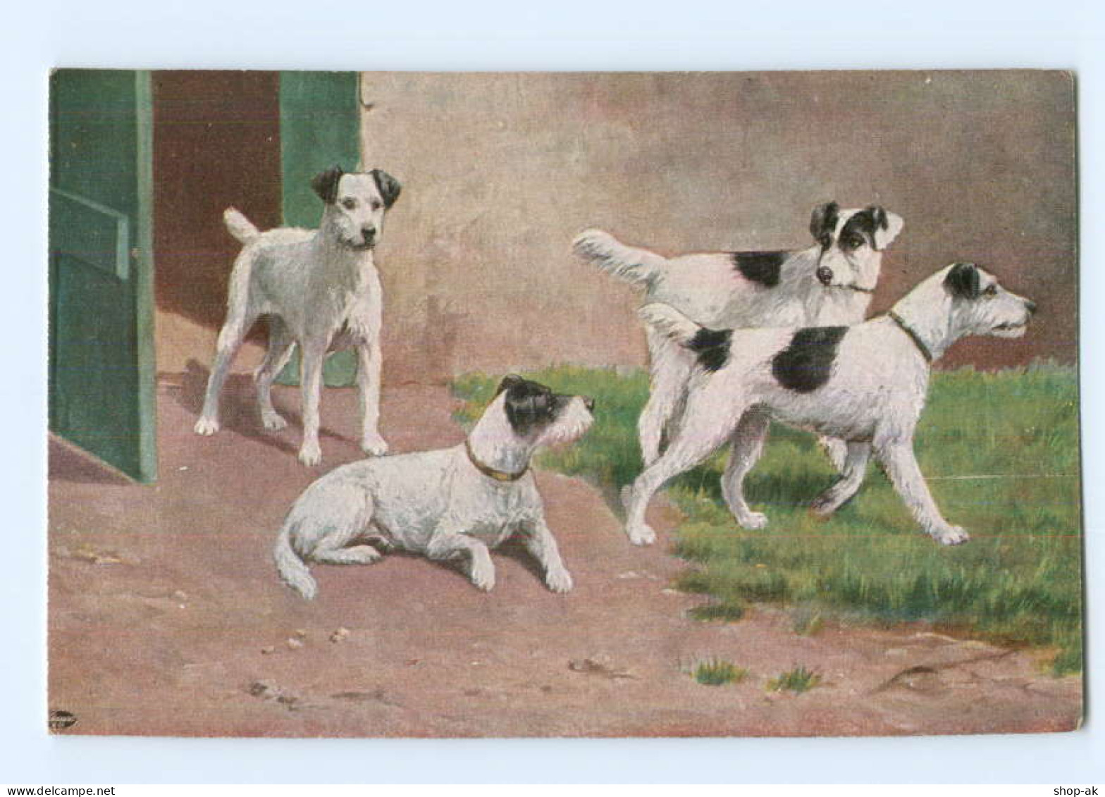 Y7841/ Hunde Terrier AK Ca.1912  - Cani