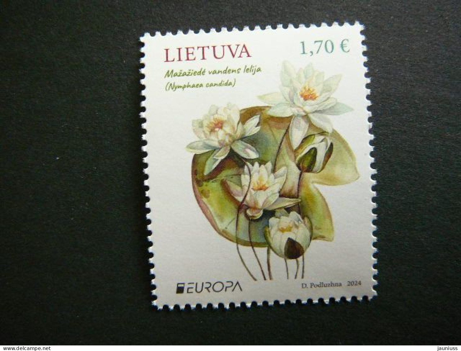 Europa CEPT. Water Lily # Lietuva Litauen Lituanie Litouwen Lithuania # 2024 MNH #4 - Litauen