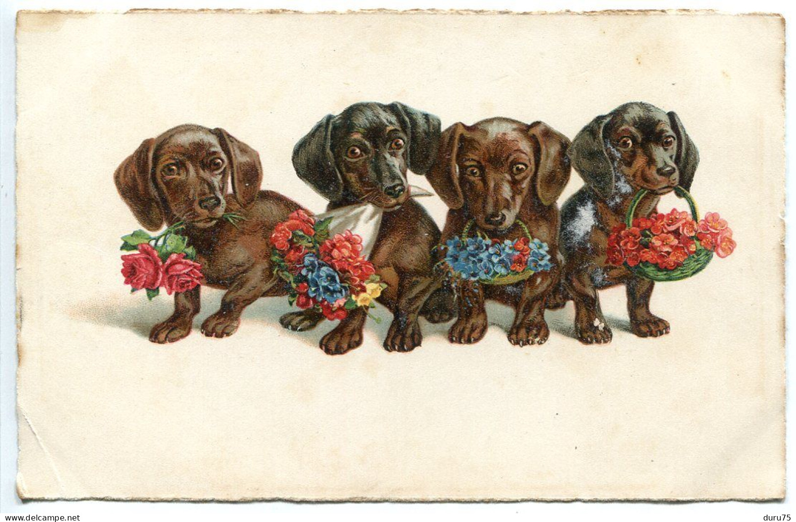 CP CHIENS Ecrite * 4 Quatre Chiens Assis Et Alignés Tenant Bouquet Ou Panier De Fleurs Dans Leur Gueule - Cani