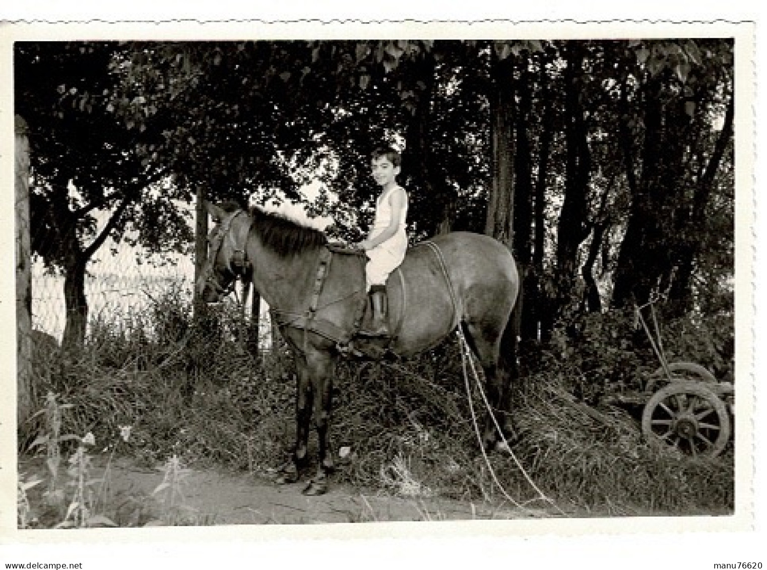 Ref 1 - Photo + Négatif : Enfant A Cheval Durant Voyage , Lieu ? - Allemagne . - Europe