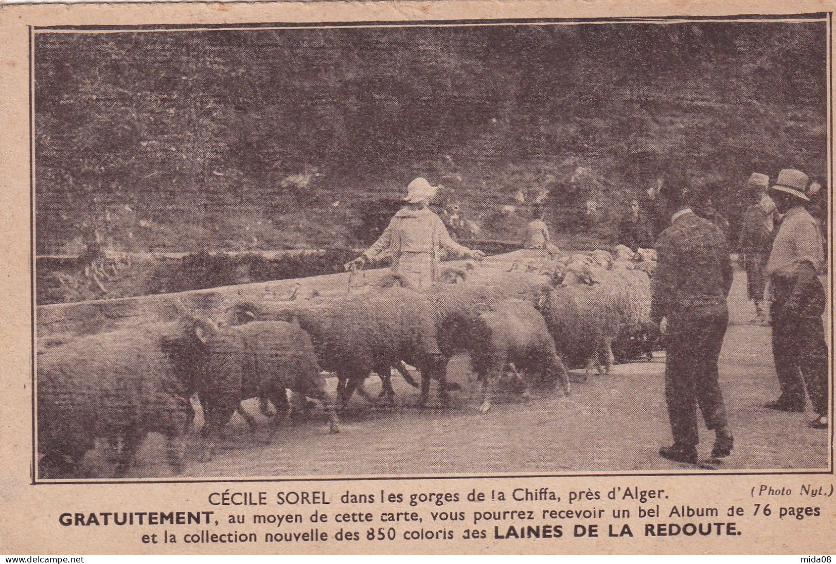 59. ROUBAIX . Publicité Des Filatures De La Redoute . Cécile Sorel Dans Les Gorges De La Chiffa Prés D'Alger - Roubaix