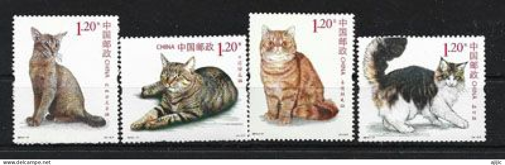 Chats De Race : Abyssin,Maine Coon, Dragon Li,Exotic Shorthair - 4 Timbres Neufs ** De Chine Année 2013 - Chats Domestiques