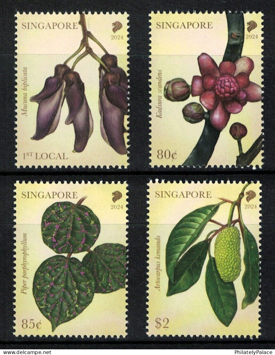 SINGAPORE 2024 ENDANGERED FLORA OF LOWLAND DIPTEROCARP FORESTS, FLOWER 4 X FULL SHEETS MNH (**) - Singapur (1959-...)