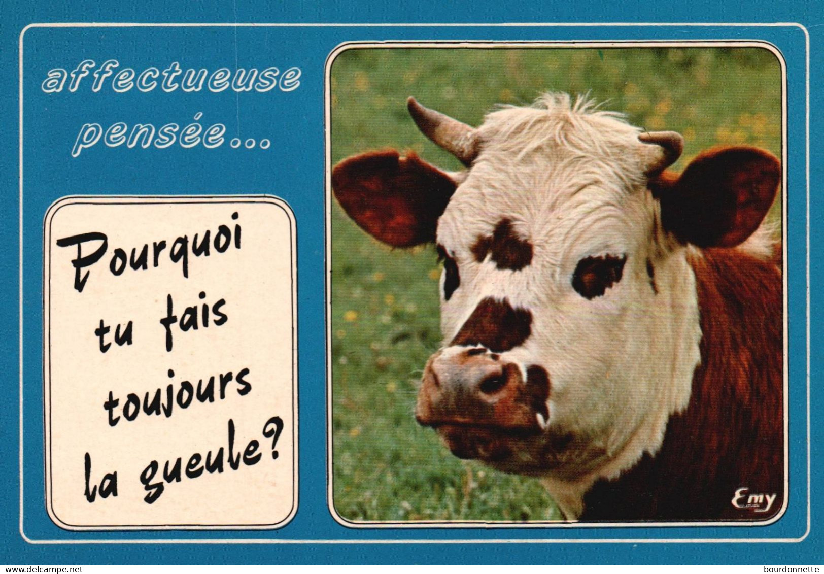 THEME  HUMOUR / LA VACHE - Humour