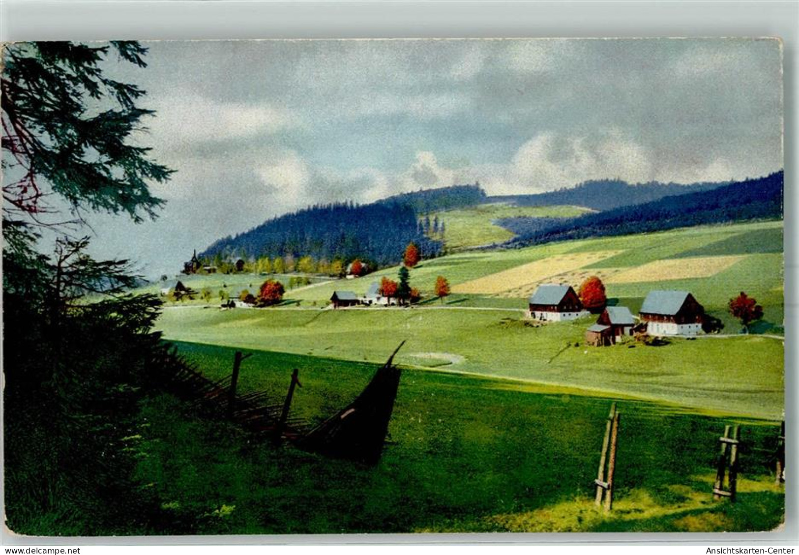 10454805 - Rehefeld-Zaunhaus - Altenberg