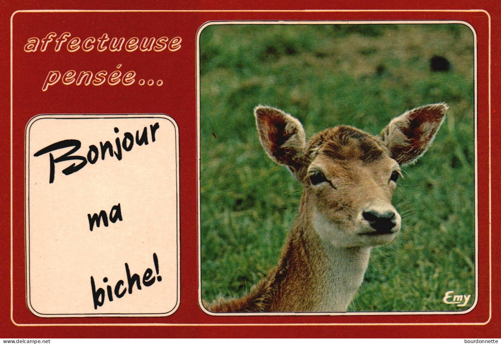 THEME  HUMOUR / LA BICHE - Humour