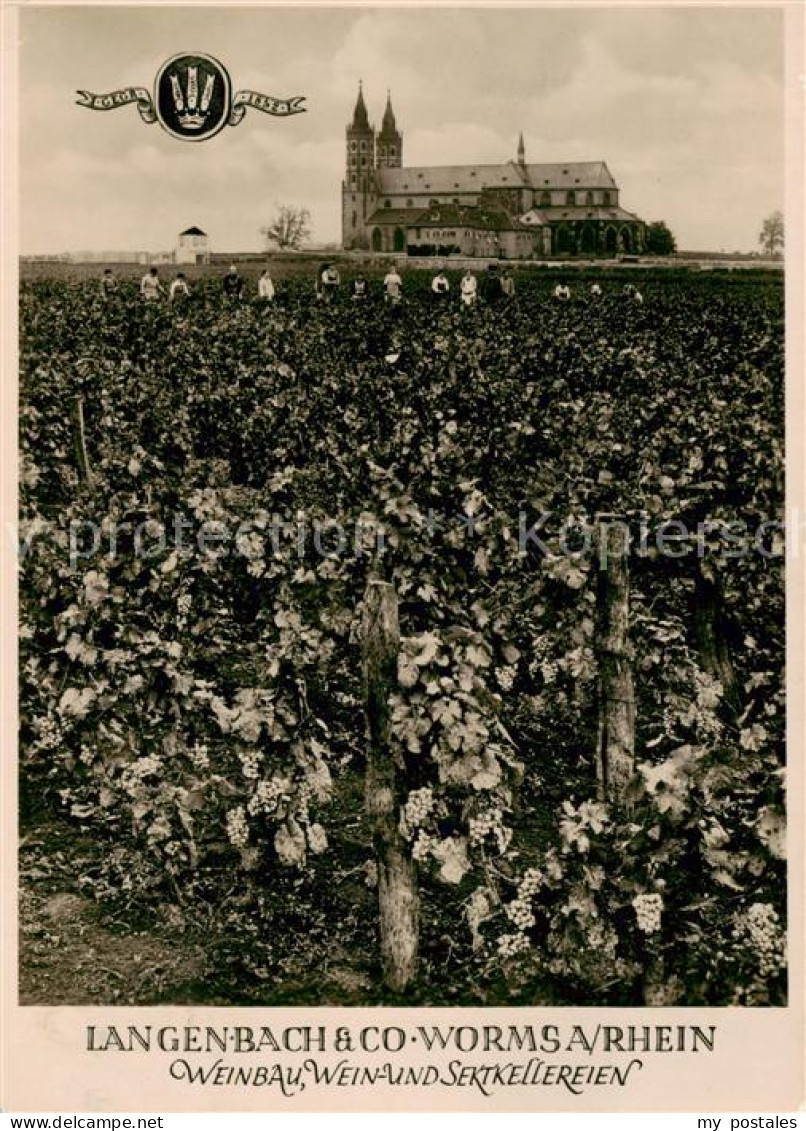 73852927 Worms Rhein Langenbach Et Co Wein Und Sektkellereien Liebfrauenstift Wo - Worms