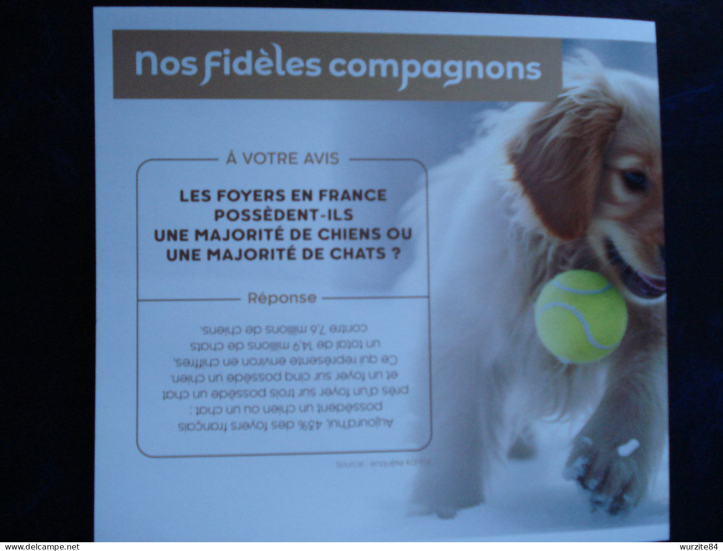 NOS FIDELES COMPAGNONS   CHIENS ET CHATS  4 Timbres Adhésifs Lettre Verte  Neuf ***** - Collectors