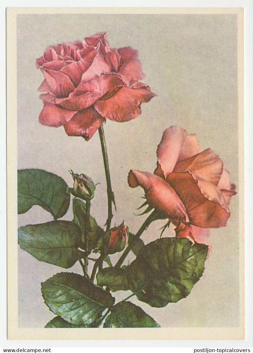 Postal Stationery Soviet Union 1958 Flower - Rose - Other & Unclassified