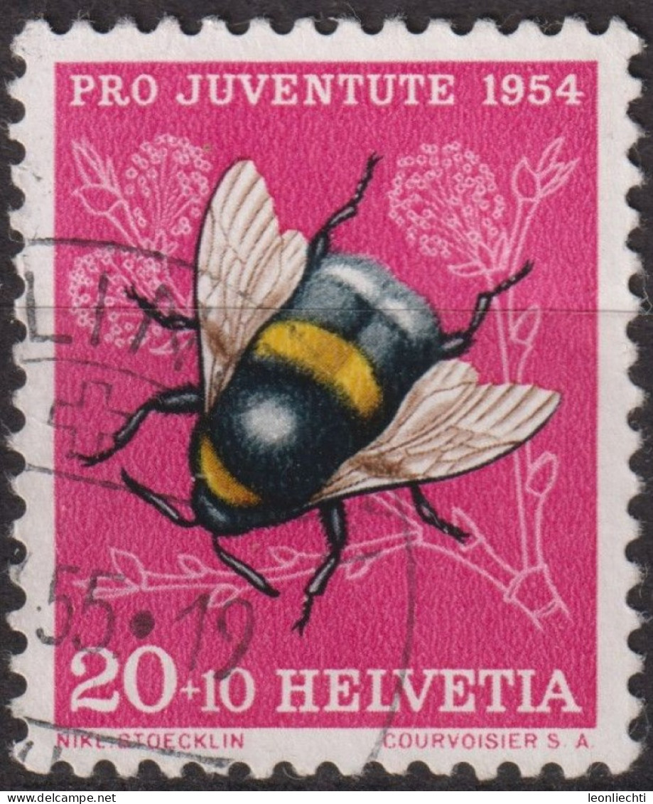 1954 Schweiz Pro Juventute ° Zum:CH J155,Yt:CH 555, Mi:CH 604, Erdhummel, Insekten - Gebraucht