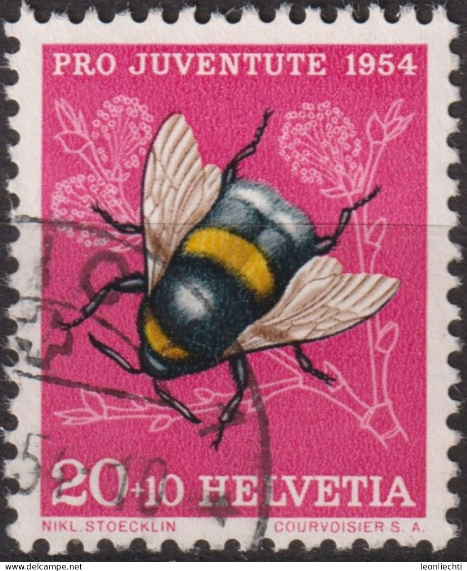 1954 Schweiz Pro Juventute ° Zum:CH J155,Yt:CH 555, Mi:CH 604, Erdhummel, Insekten - Used Stamps