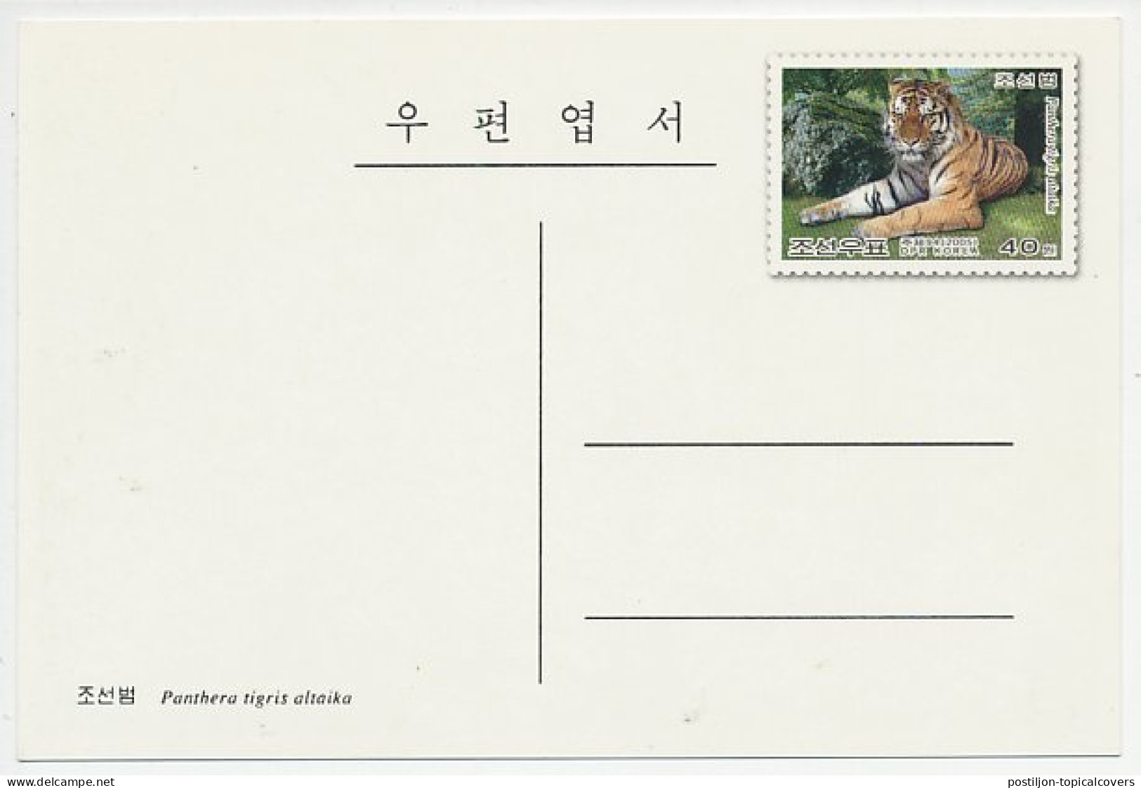 Postal Stationery Korea 2005 Tiger - Andere & Zonder Classificatie