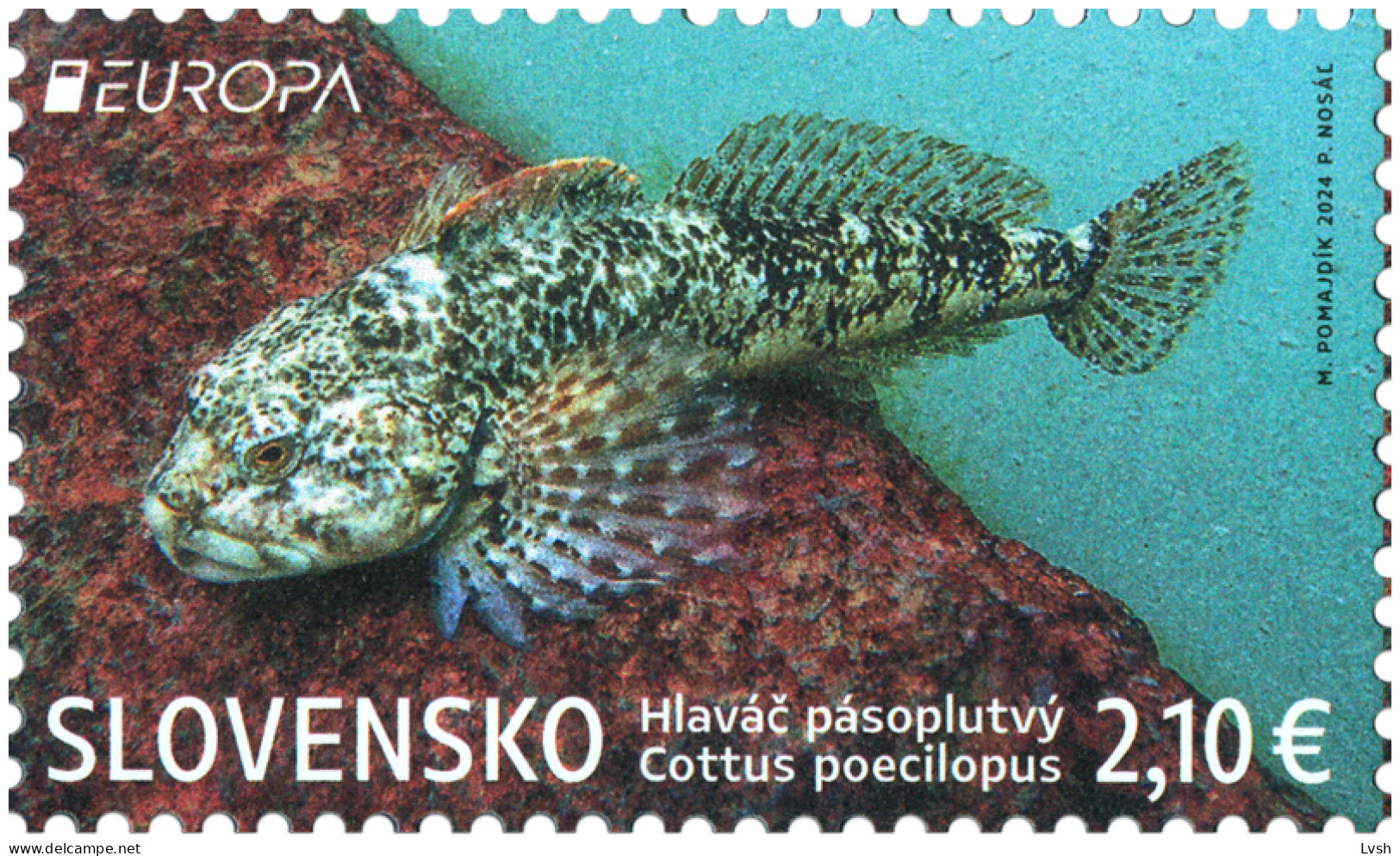 Slovakia.2024.Europa CEPT.Underwater Fauna And Flora.Alpine Bullhead (Cottus Poecilopus).1 V. ** . - Fishes