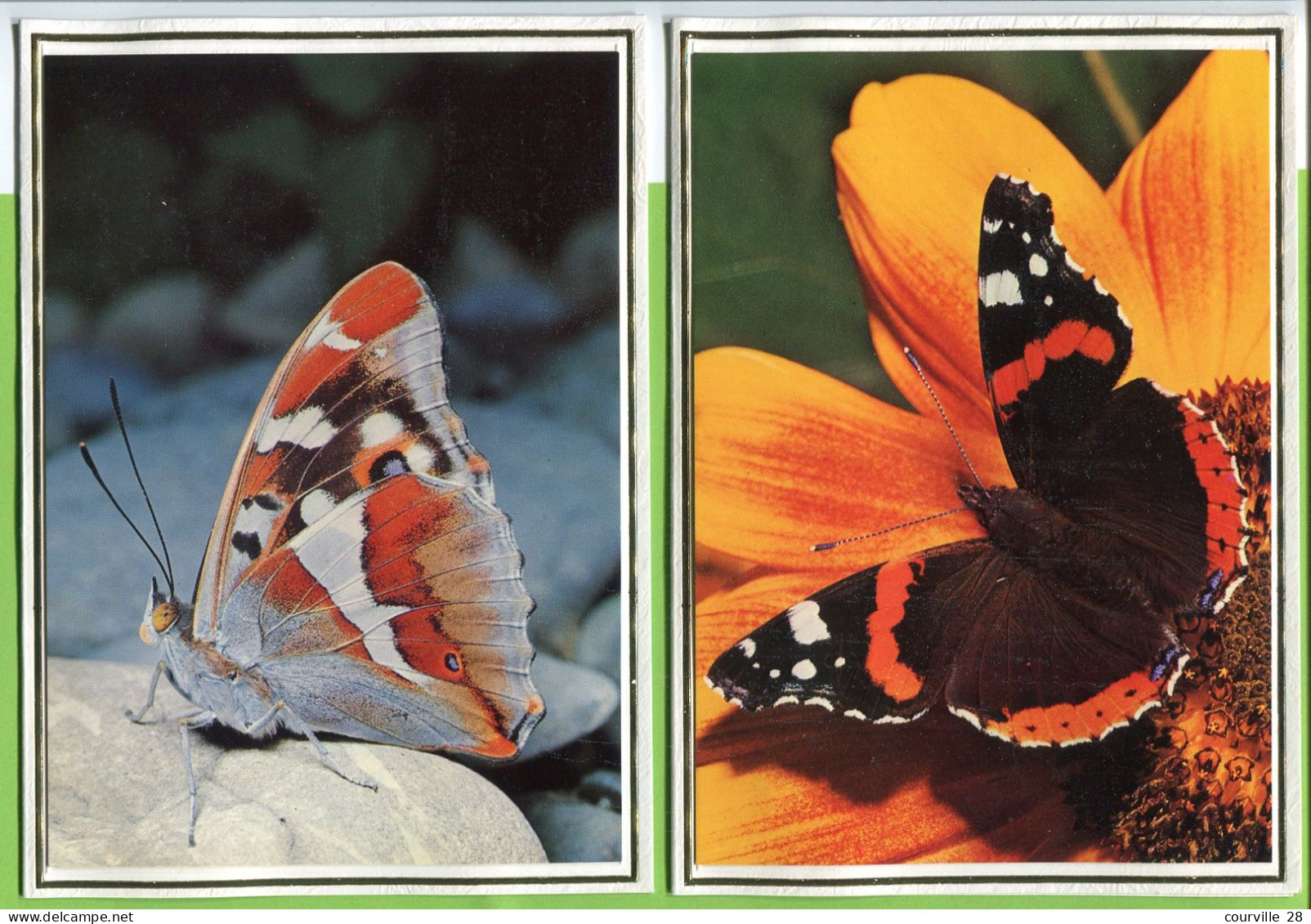 PAPILLON PAPILLONS LOT De 2 Format 11,50 X 16 Cm * Belle Image Glacée Sur Support épais Double Pour Faire Carte Postale - Papillons